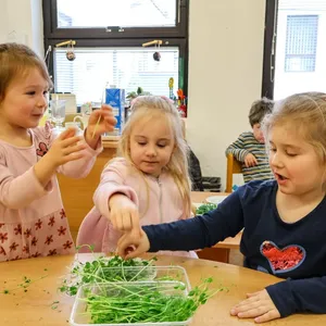 Škriatok Gregor z Microgreens