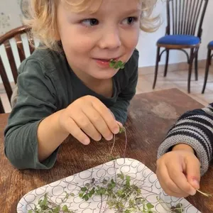 Škriatok Gregor opäť u nás....