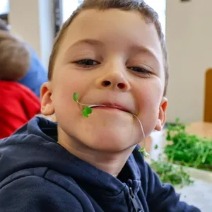 Škriatok Gregor z Microgreens